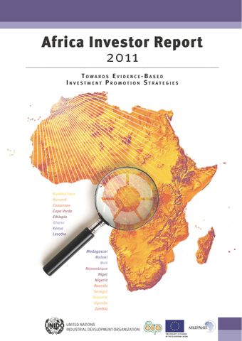 image of Africa Investor Report 2011