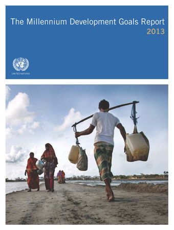 image of The Millennium Development Goals Report 2013