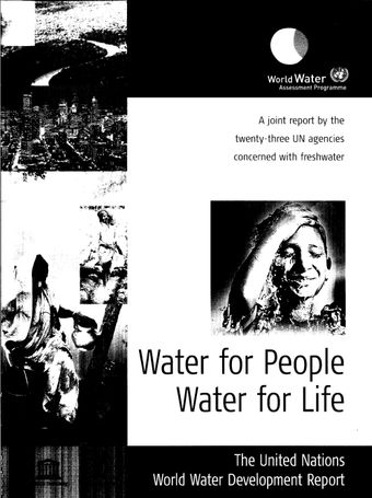 image of The United Nations World Water Development Report 2003