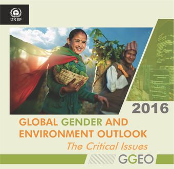 image of Global Gender and Environment Outlook 2016: The Critical Issues