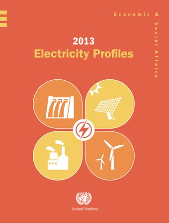 image of 2013 Electricity Profiles