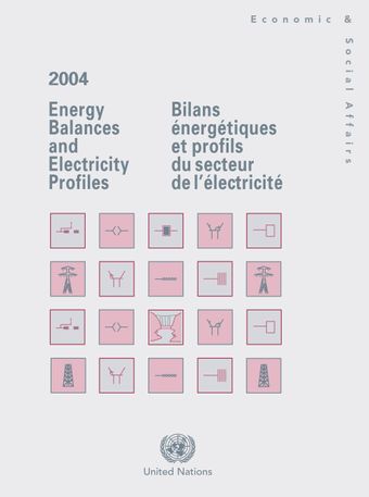 image of Bilans Energétiques et Profils du Secteur de l'Electricité 2004