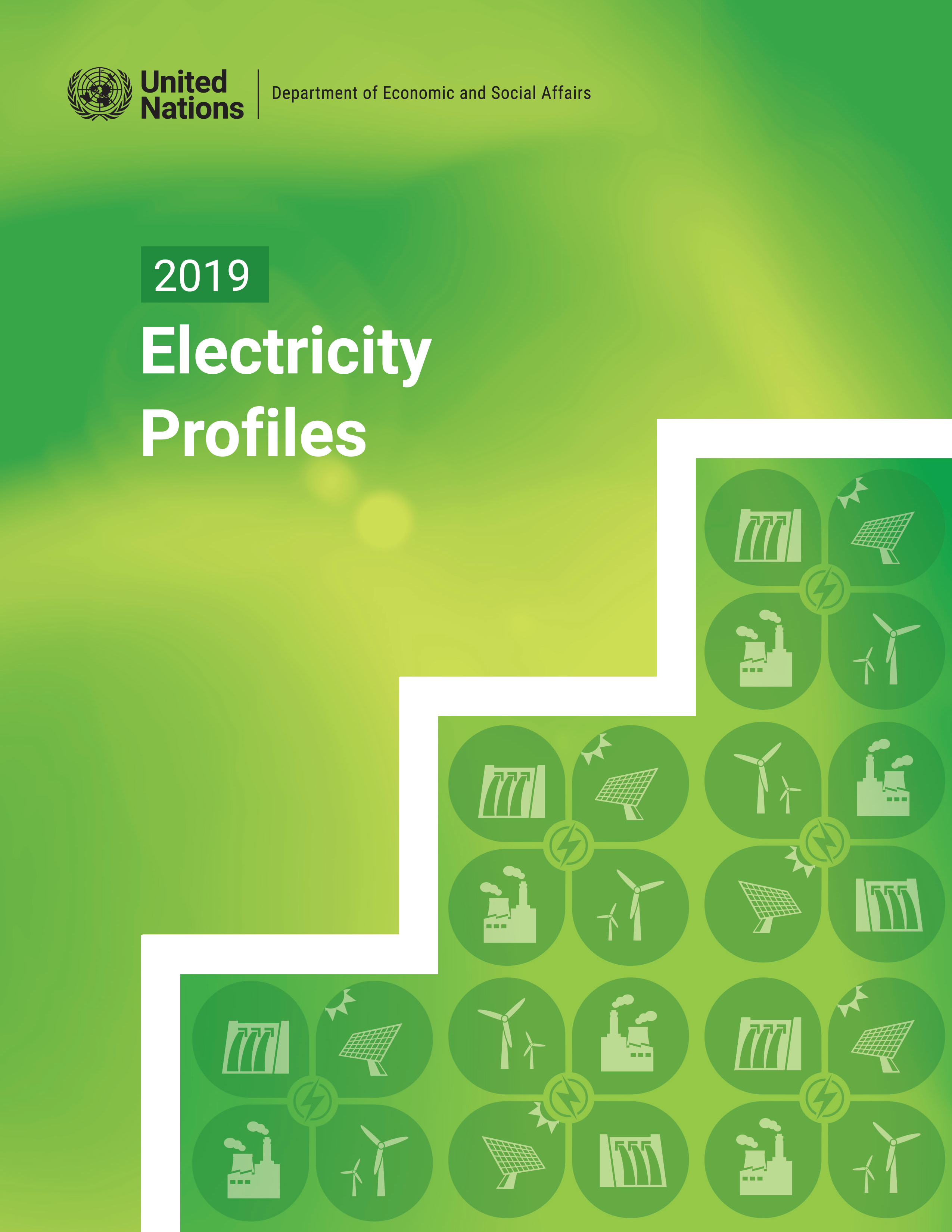 image of 2019 Electricity Profiles