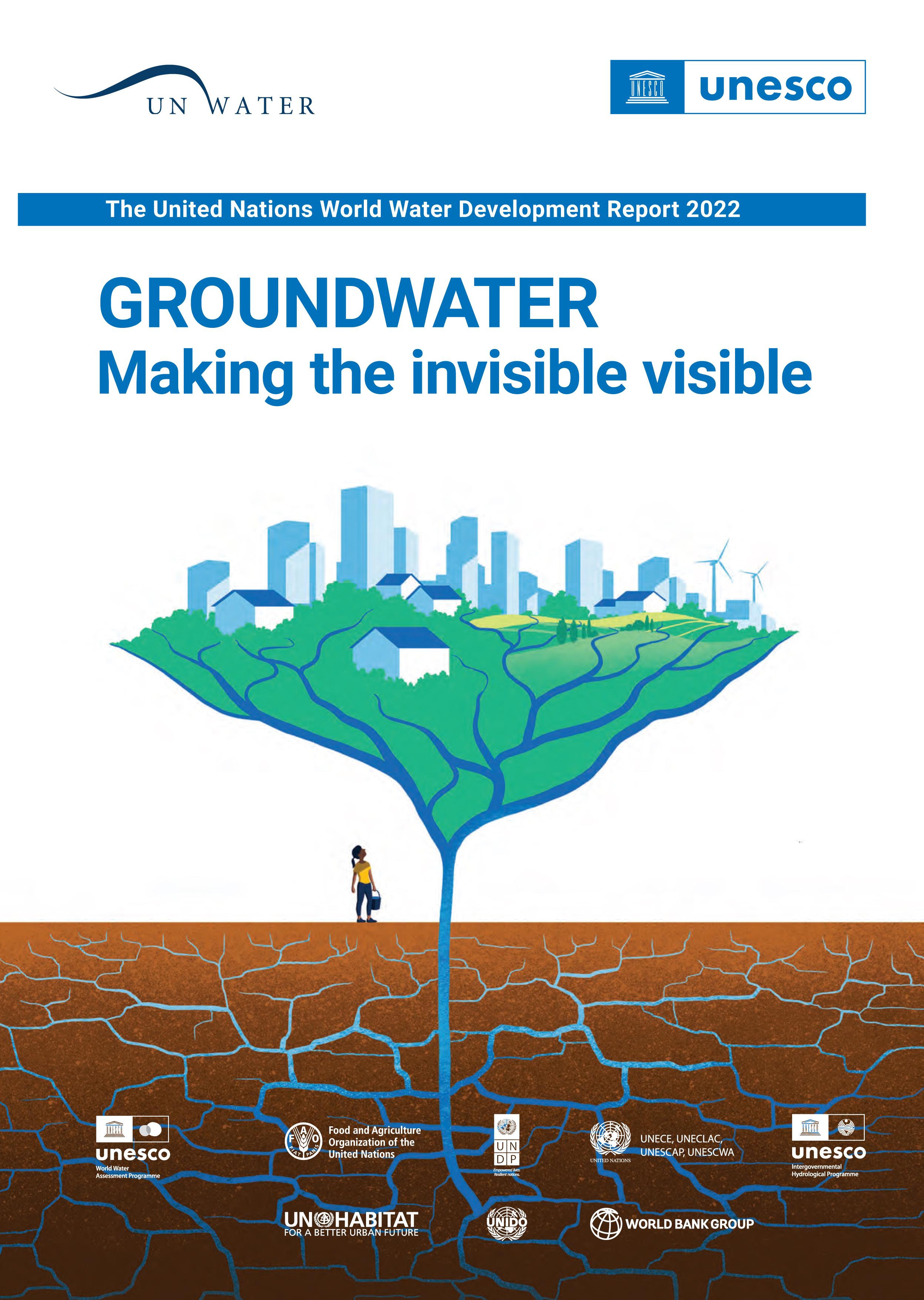 image of The United Nations World Water Development Report 2022