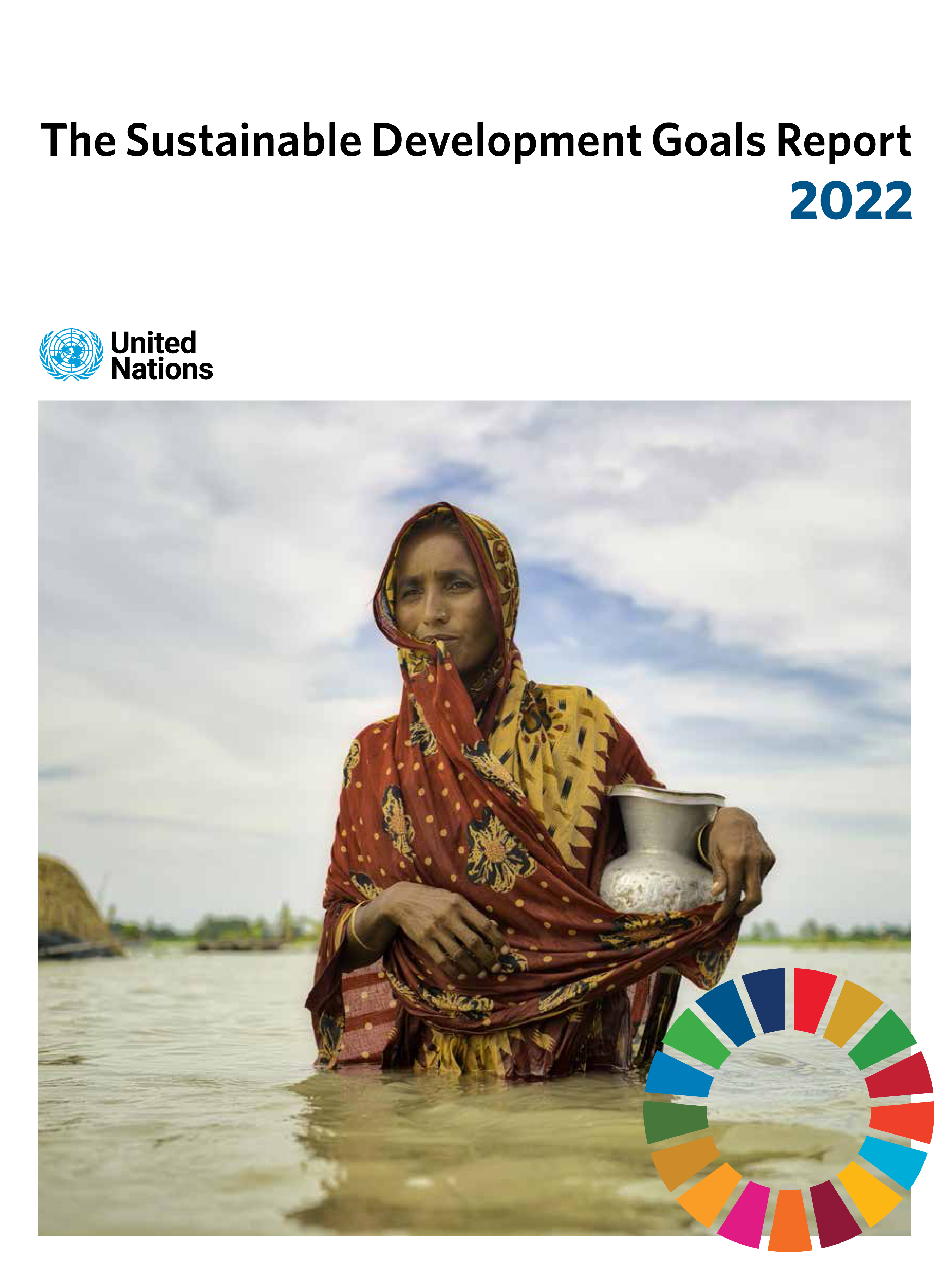 image of The Sustainable Development Goals Report 2022