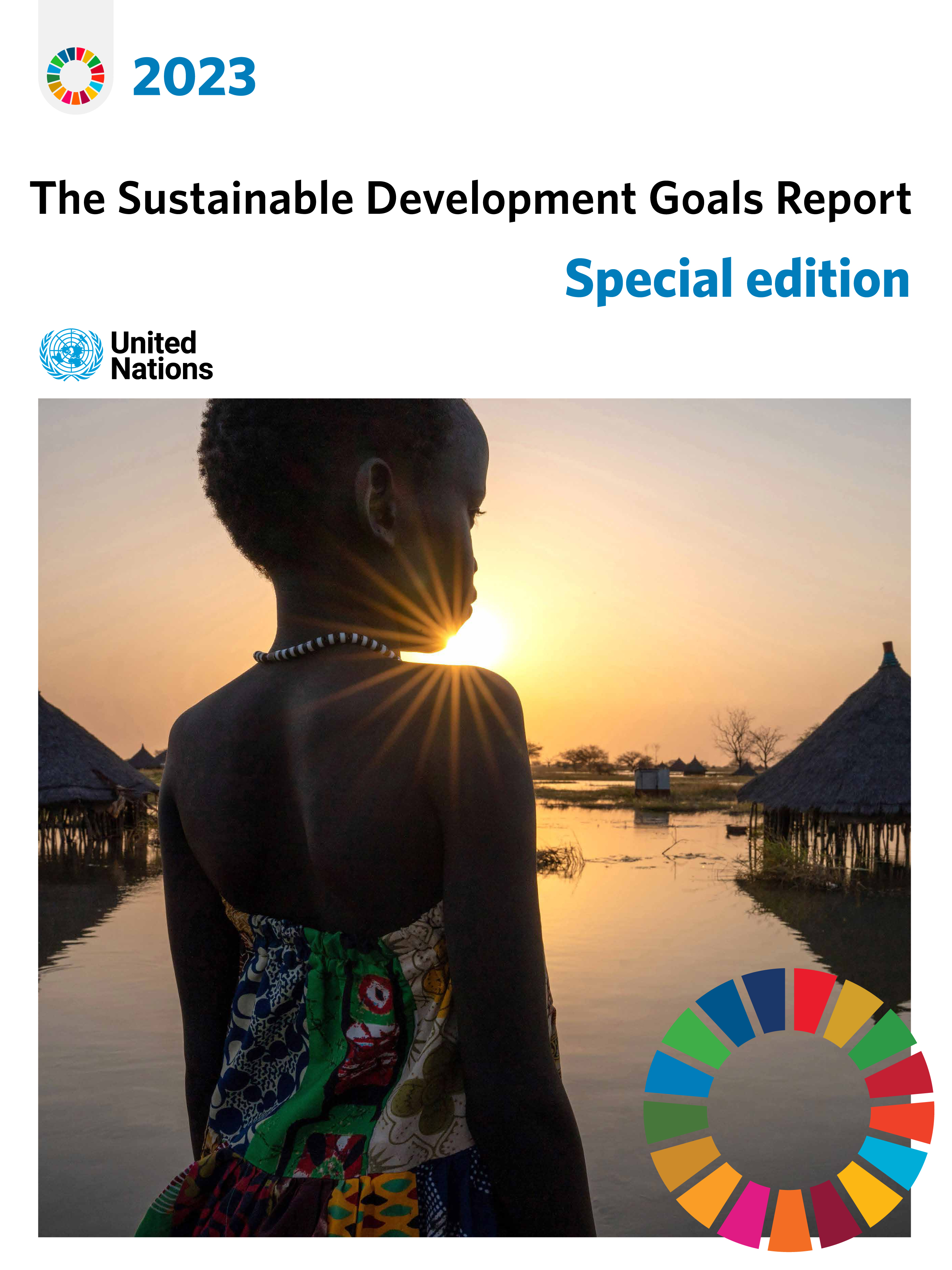 image of The Sustainable Development Goals Report 2023: Special Edition