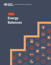 image of 2020 Energy Balances