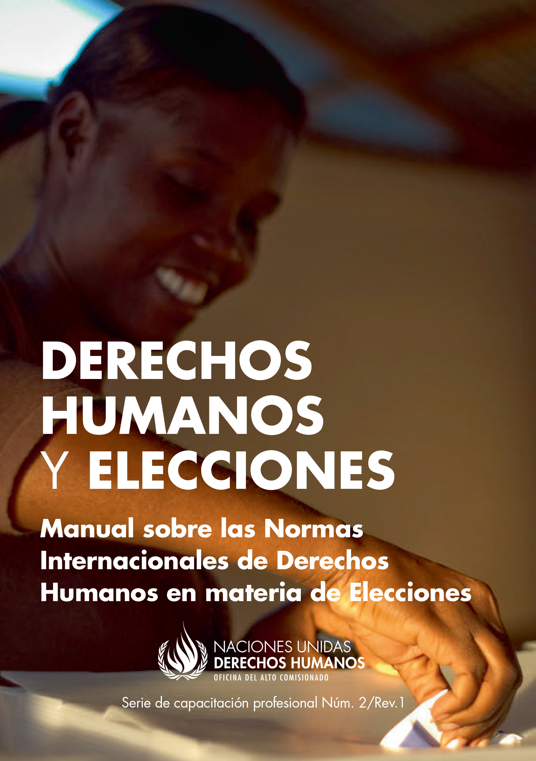 image of Derechos humanos y elecciones