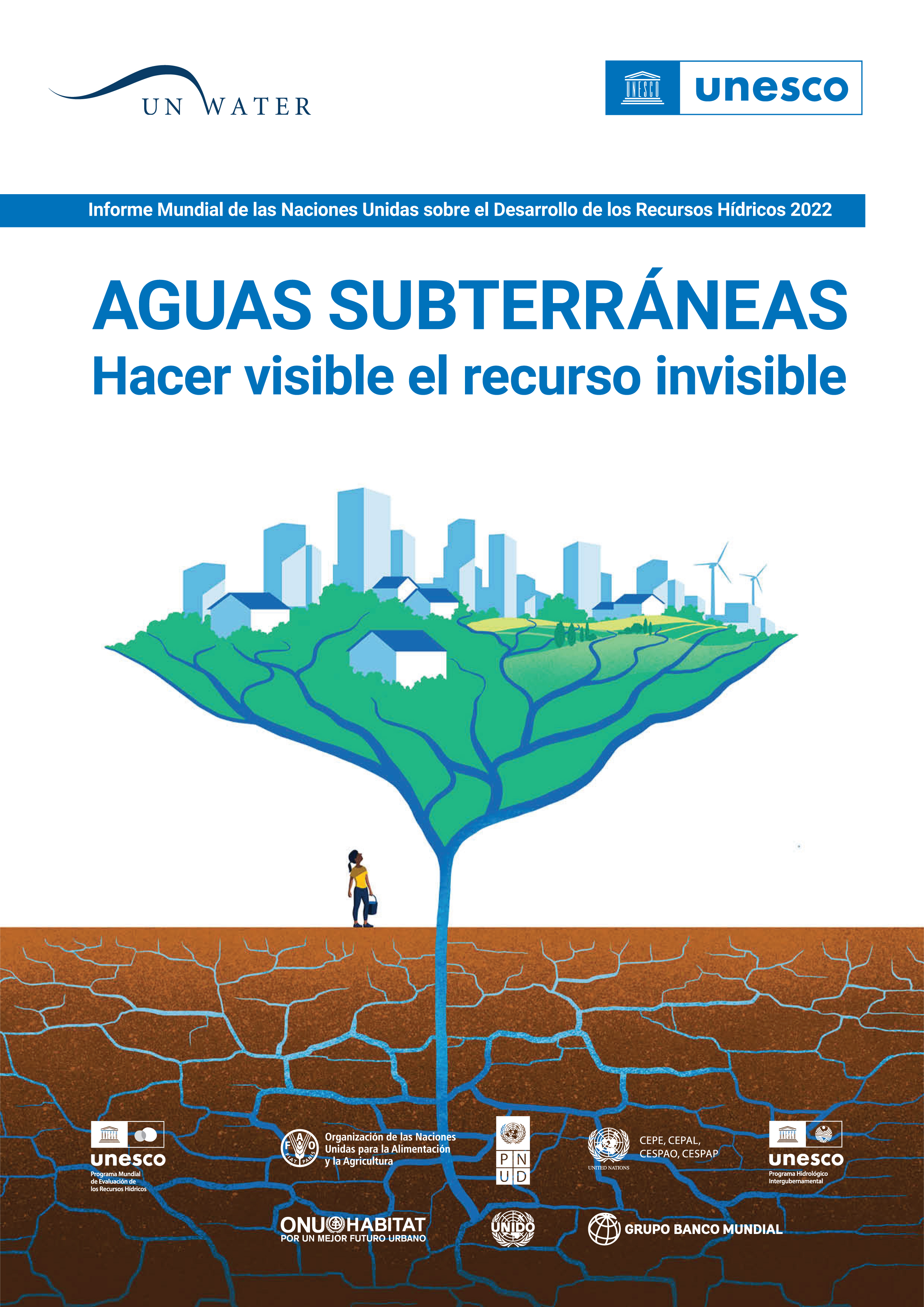 image of Informe Mundial de las Naciones Unidas sobre el Desarrollo de los Recursos Hídricos 2022