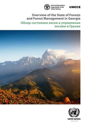 image of Overview of the State of Forests and Forest Management in Georgia