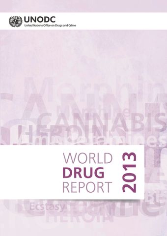 image of World Drug Report 2013