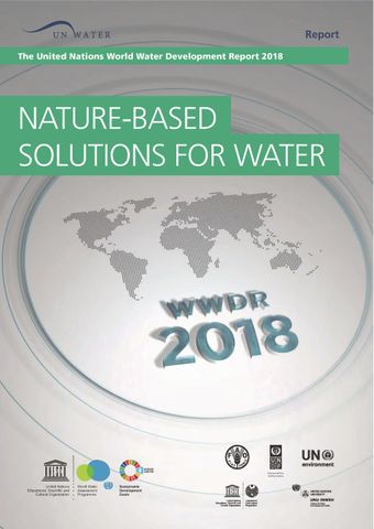 image of The United Nations World Water Development Report 2018