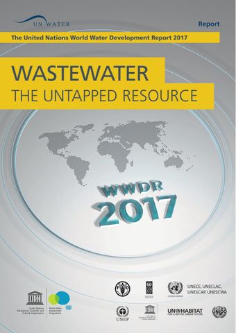 image of The United Nations World Water Development Report 2017