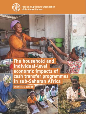 image of The Household and Individual-level Economic Impacts of Cash Transfer Programmes in Sub-Saharan Africa
