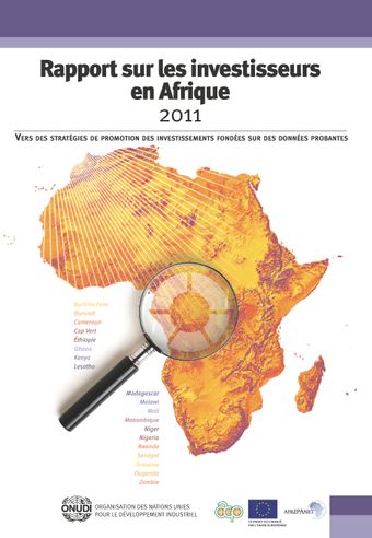 image of Caractéristiques des investissements en Afrique subsaharienne