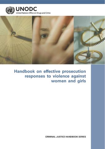 image of The role of the criminal justice system in combating violence against women and girls