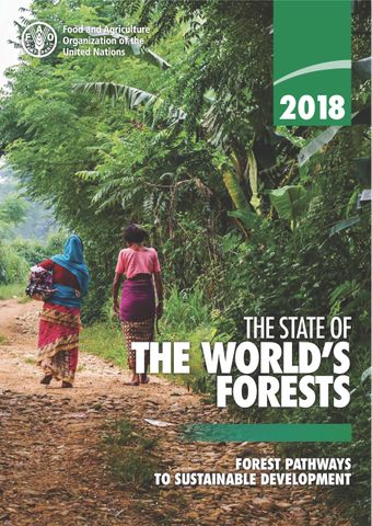 image of The State of the World’s Forests 2018