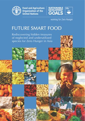 image of Mainstreaming future smart food for improving nutrition security
