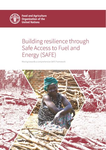 image of Building Resilience through Safe Access to Fuel and Energy (SAFE)