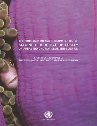 image of The Conservation and Sustainable Use of Marine Biological Diversity of Areas Beyond National Jurisdiction