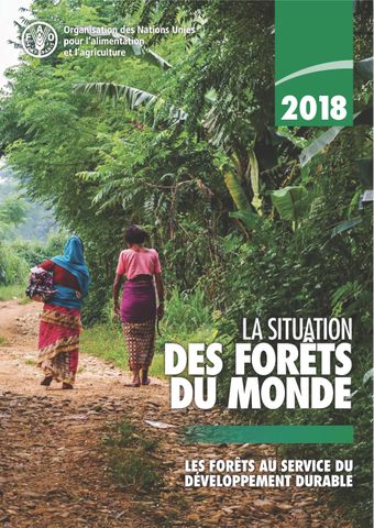 image of La Situation des Forêts du Monde 2018
