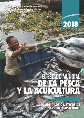 image of El departamento de pesca y acuicultura de la fao en acción