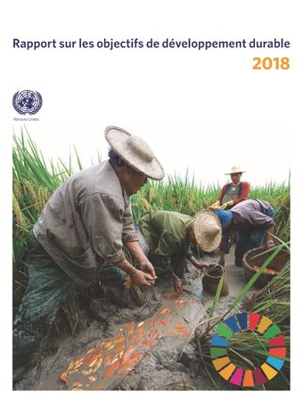 image of Rapport sur les objectifs de développement durable 2018