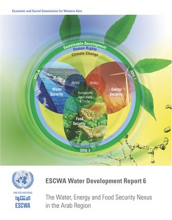 image of ESCWA Water Development Report 6