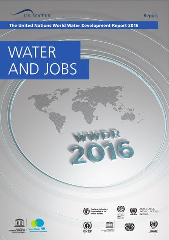 image of The global perspective on water