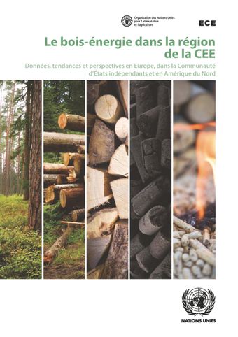 image of Perspectives pour les marchés du bois-énergie