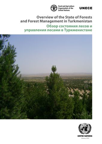 image of Overview of the State of Forests and Forest Management in Turkmenistan