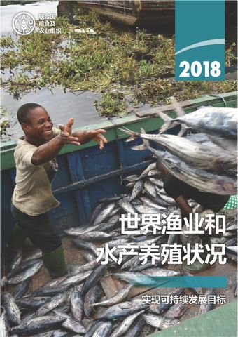 image of 2018 年世界渔业和水产养殖状况