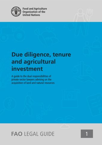 image of Due Diligence, Tenure and Agricultural Investment