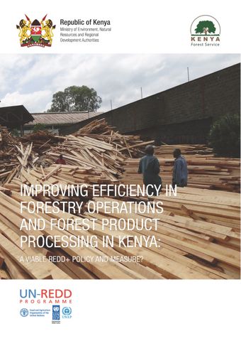 image of Improving Efficiency in Forestry Operations and Forest Product Processing in Kenya