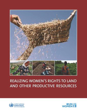 image of Background: Why focus on women and land?