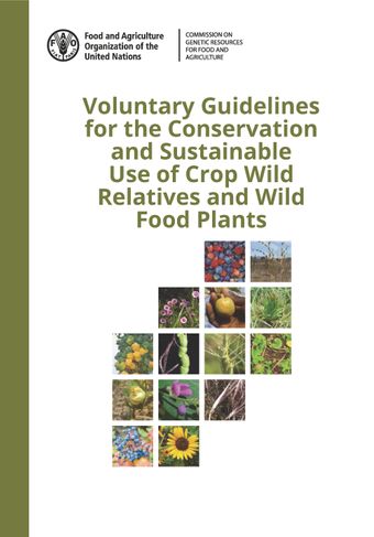 image of Voluntary Guidelines for the Conservation and Sustainable Use of Crop Wild Relatives and Wild Food Plants