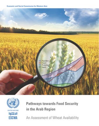 image of Policy options for enhanced wheat security in the Arab region