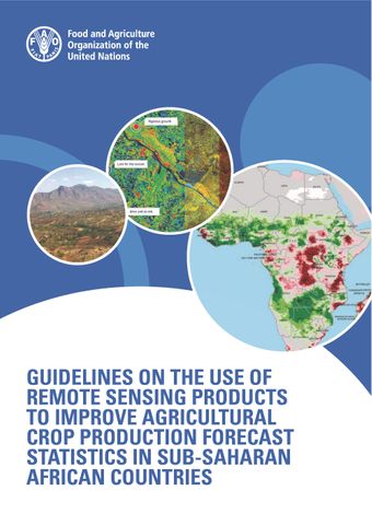 image of Guidelines on the Use of Remote Sensing Products to Improve Agricultural Crop Production Forecast Statistics in Sub-Saharan African Countries