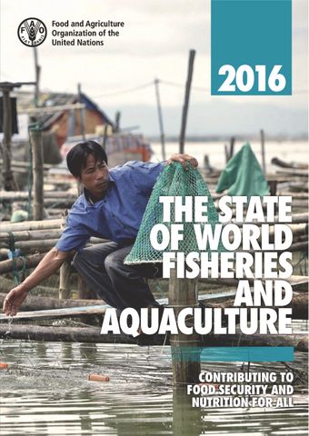 image of The State of World Fisheries and Aquaculture 2016