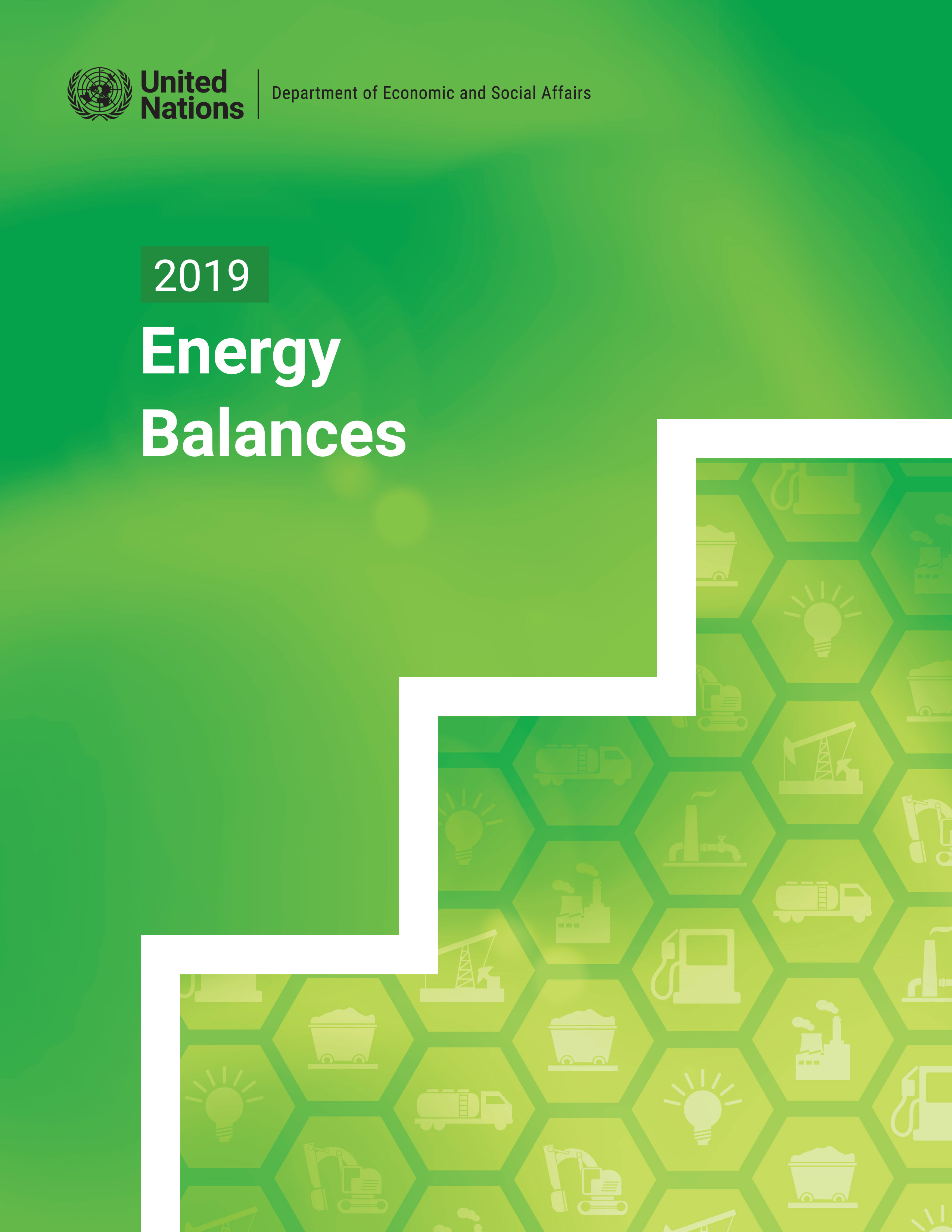 image of 2019 Energy Balances