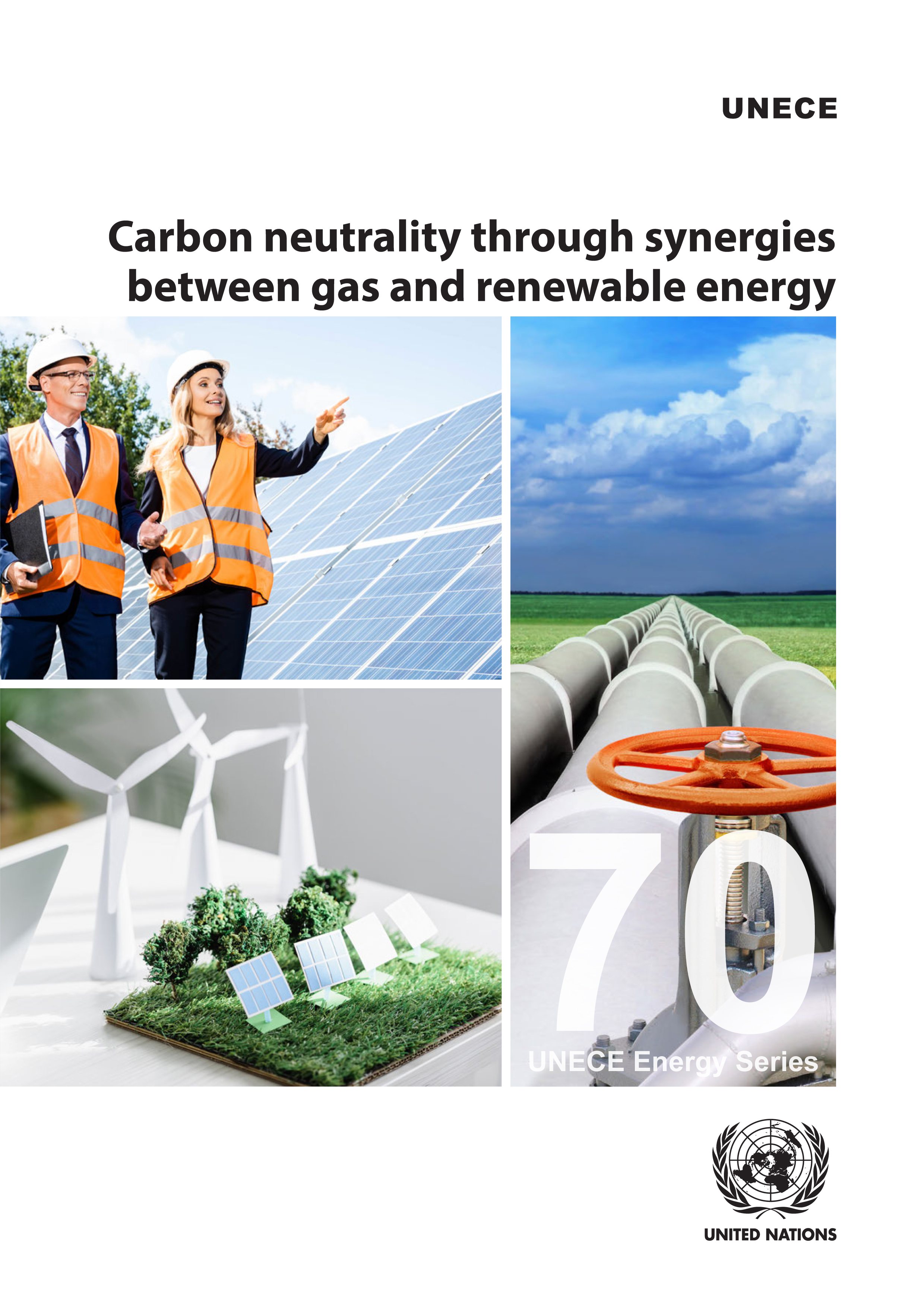 image of Carbon Neutrality Through Synergies Between Gas and Renewable Energy