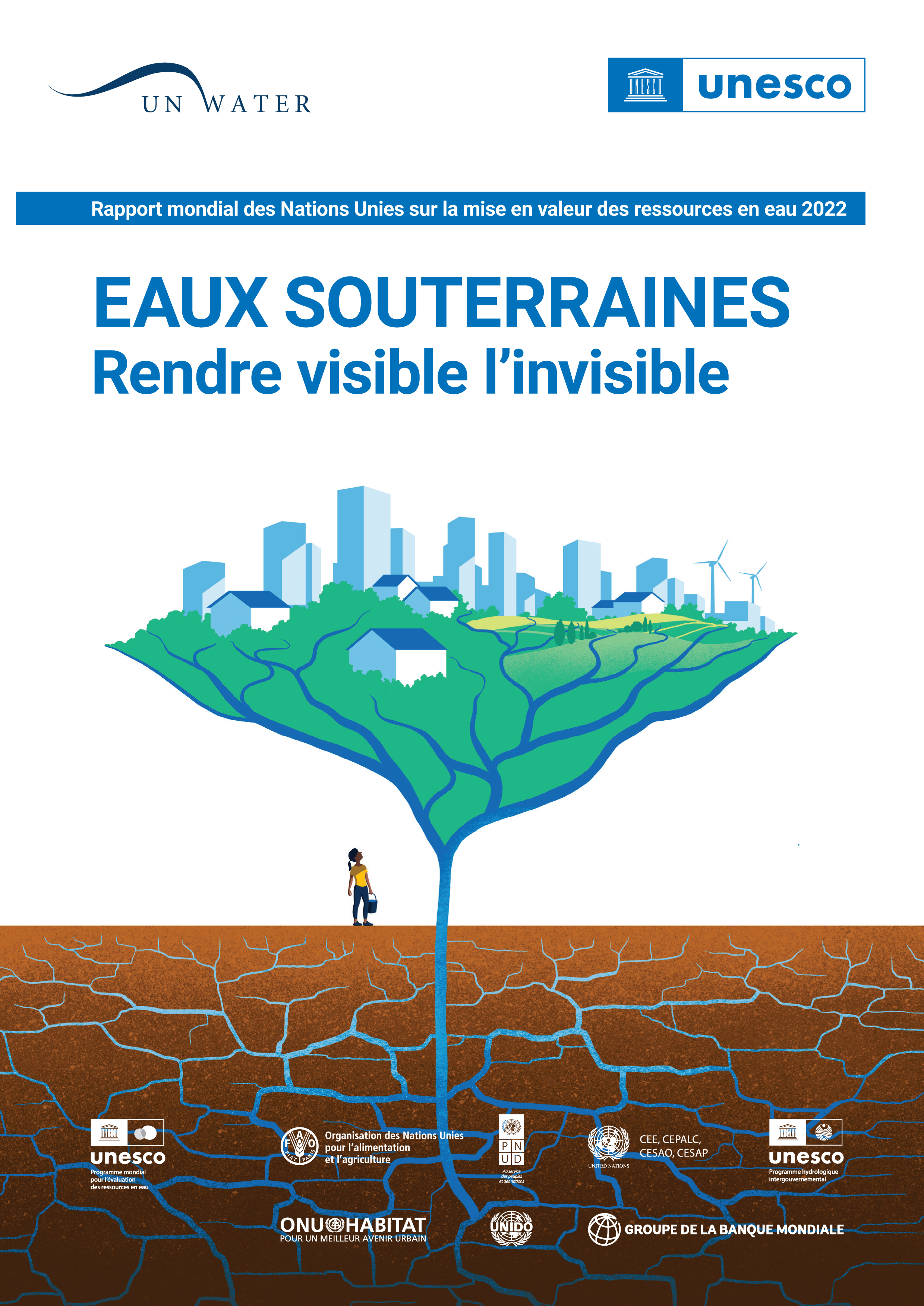 image of Rapport mondial des Nations Unies sur la mise en valeur des ressources en eau 2022