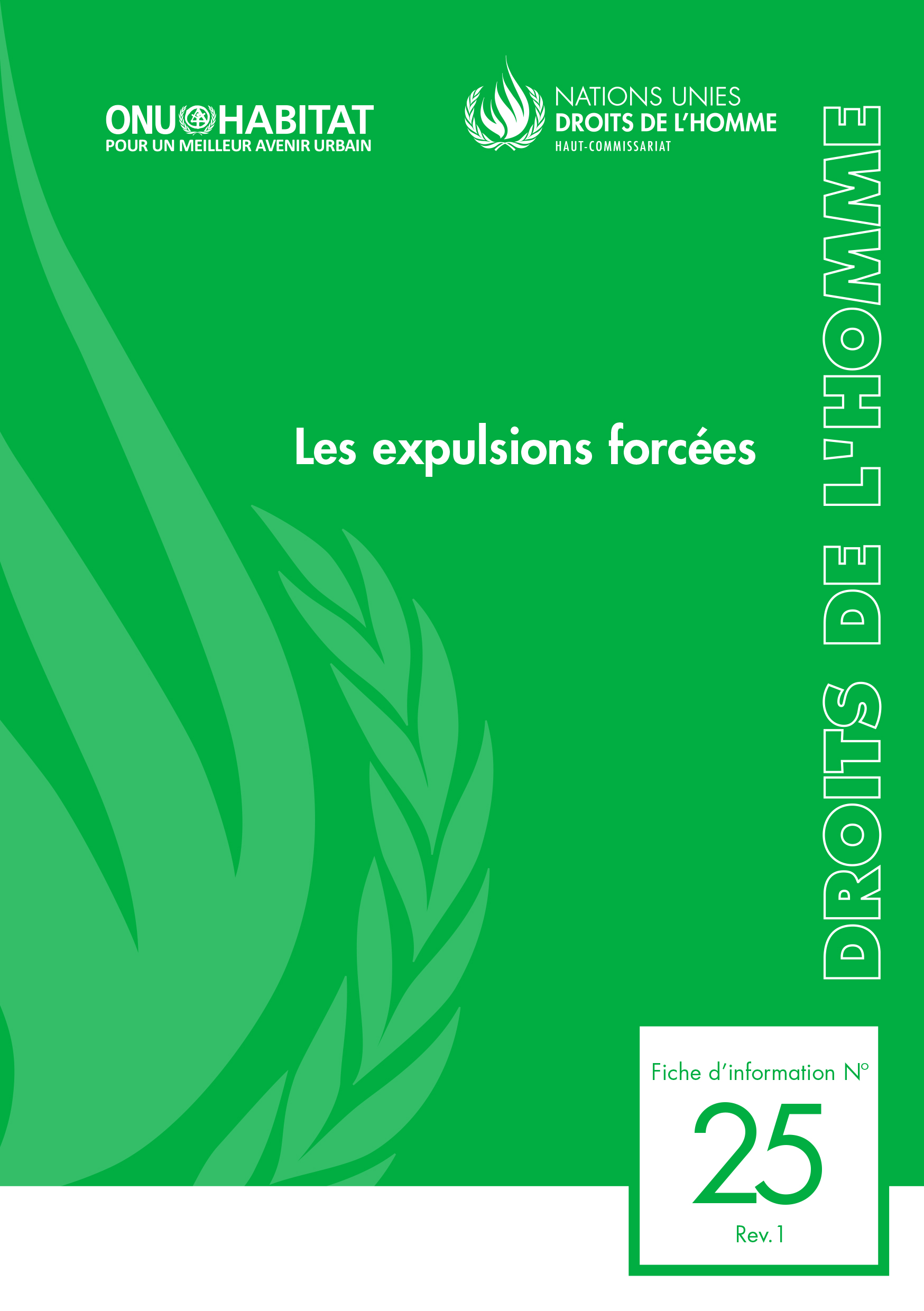 image of Droits de l’homme Fiche d’information No. 25, Rév. 1