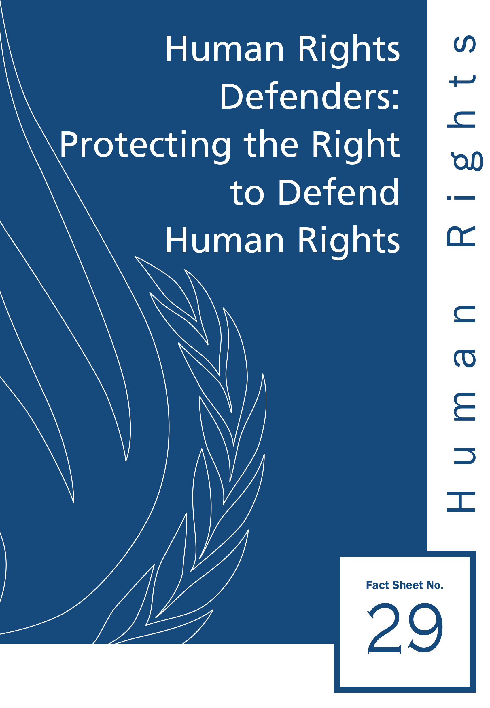 image of Human Rights Fact Sheet No. 29