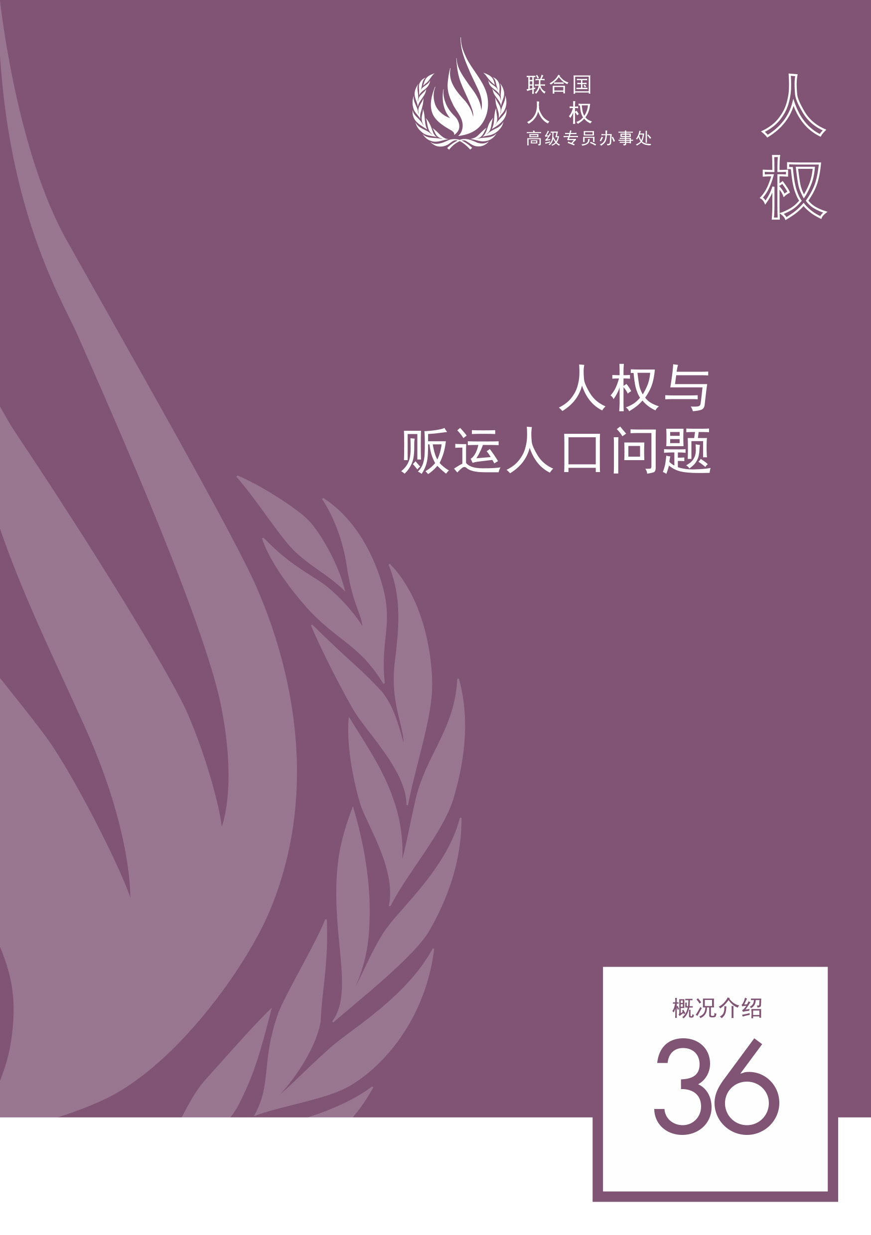 image of 概况介绍第36号