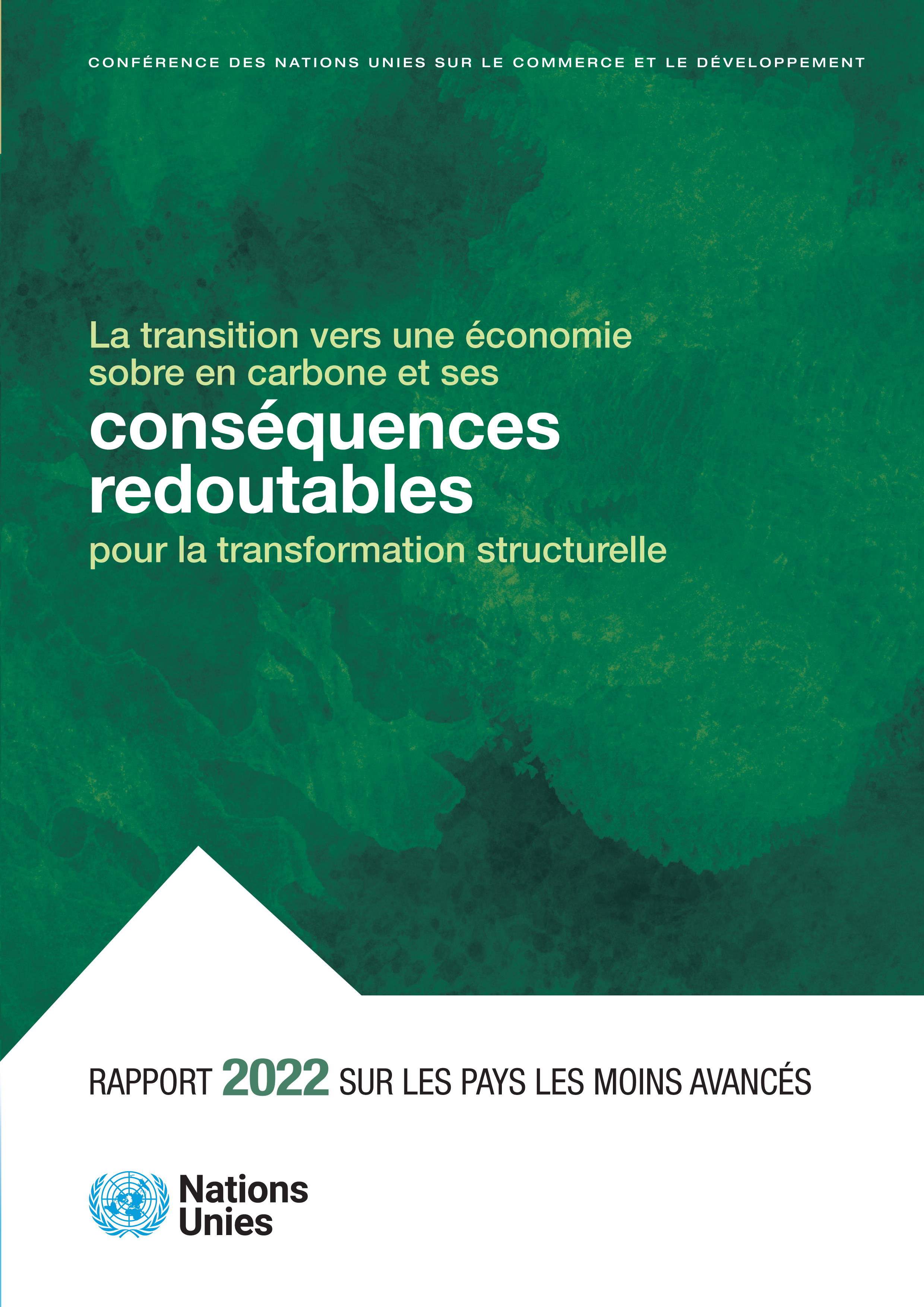 image of Rapport sur les Pays les Moins Avancés 2022