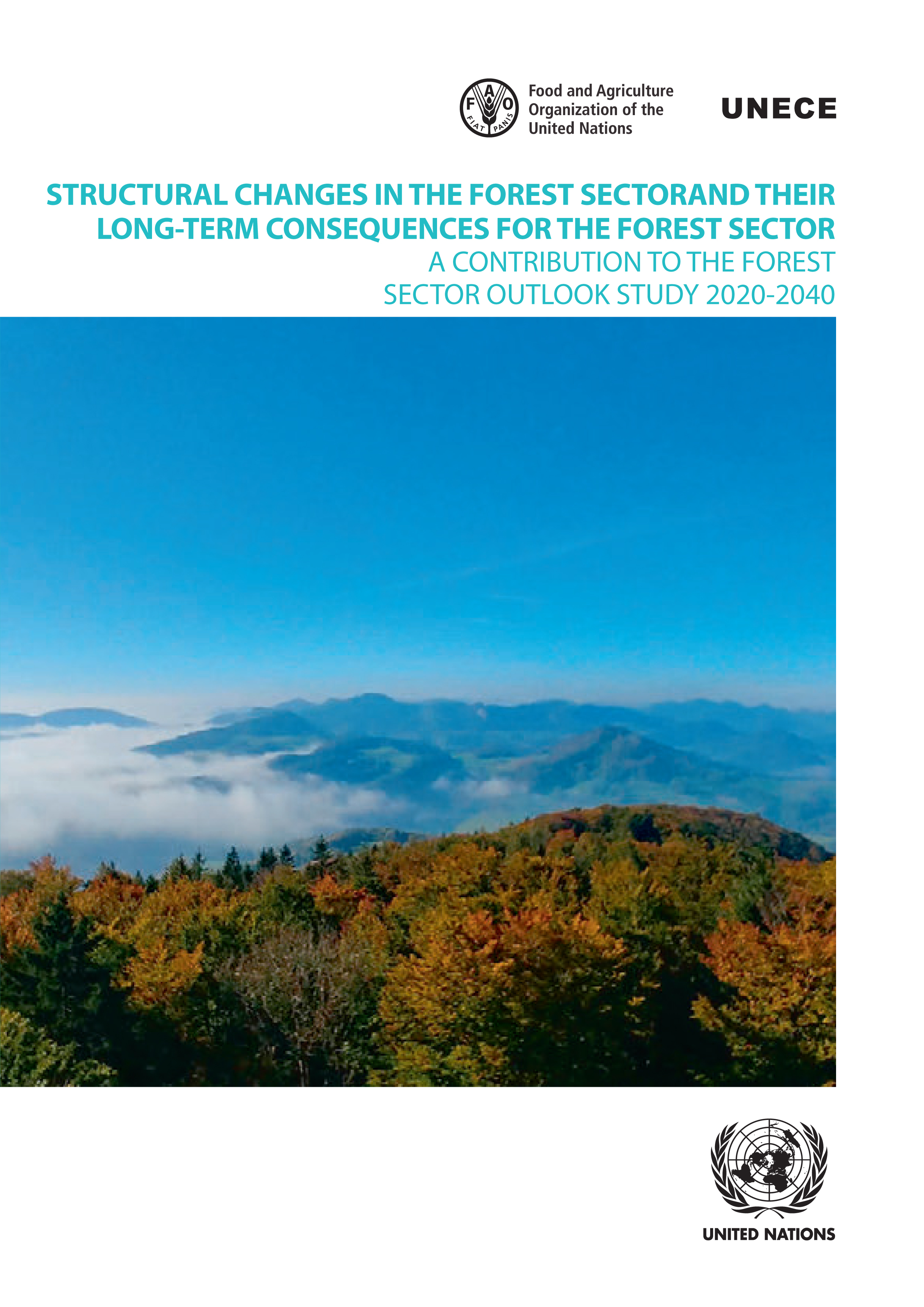 image of Structural Changes in the Forest Sector and Their Long-term Consequences for the Forest Sector