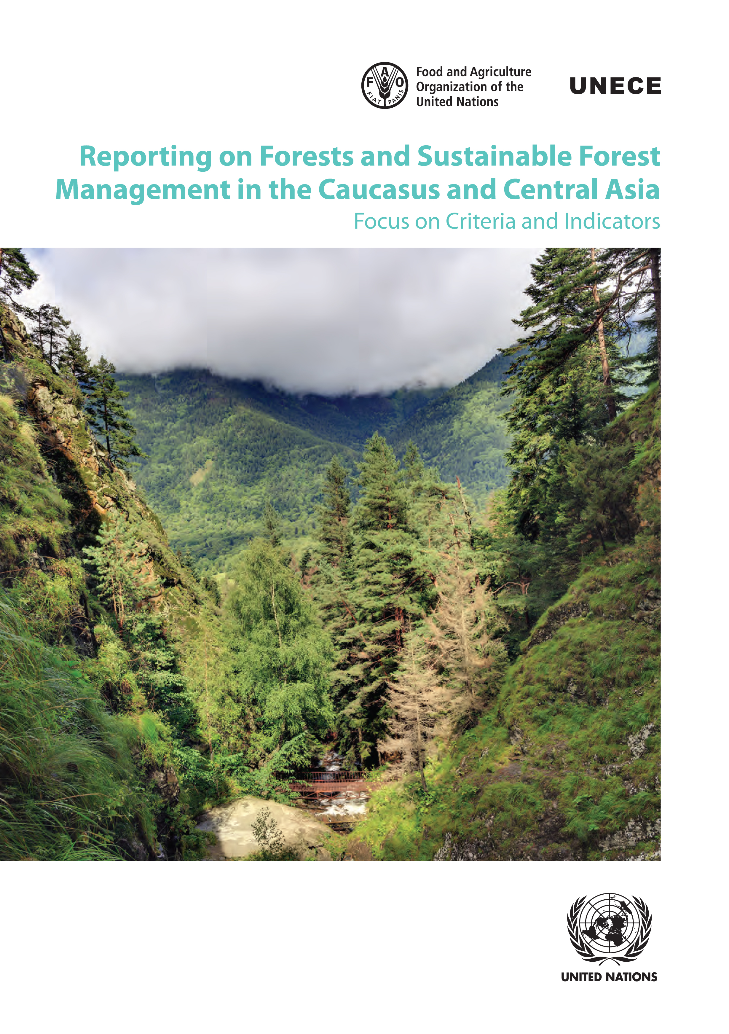 image of State of Caucasus and Central Asia Region with Focus on Forest Information Systems and Reporting