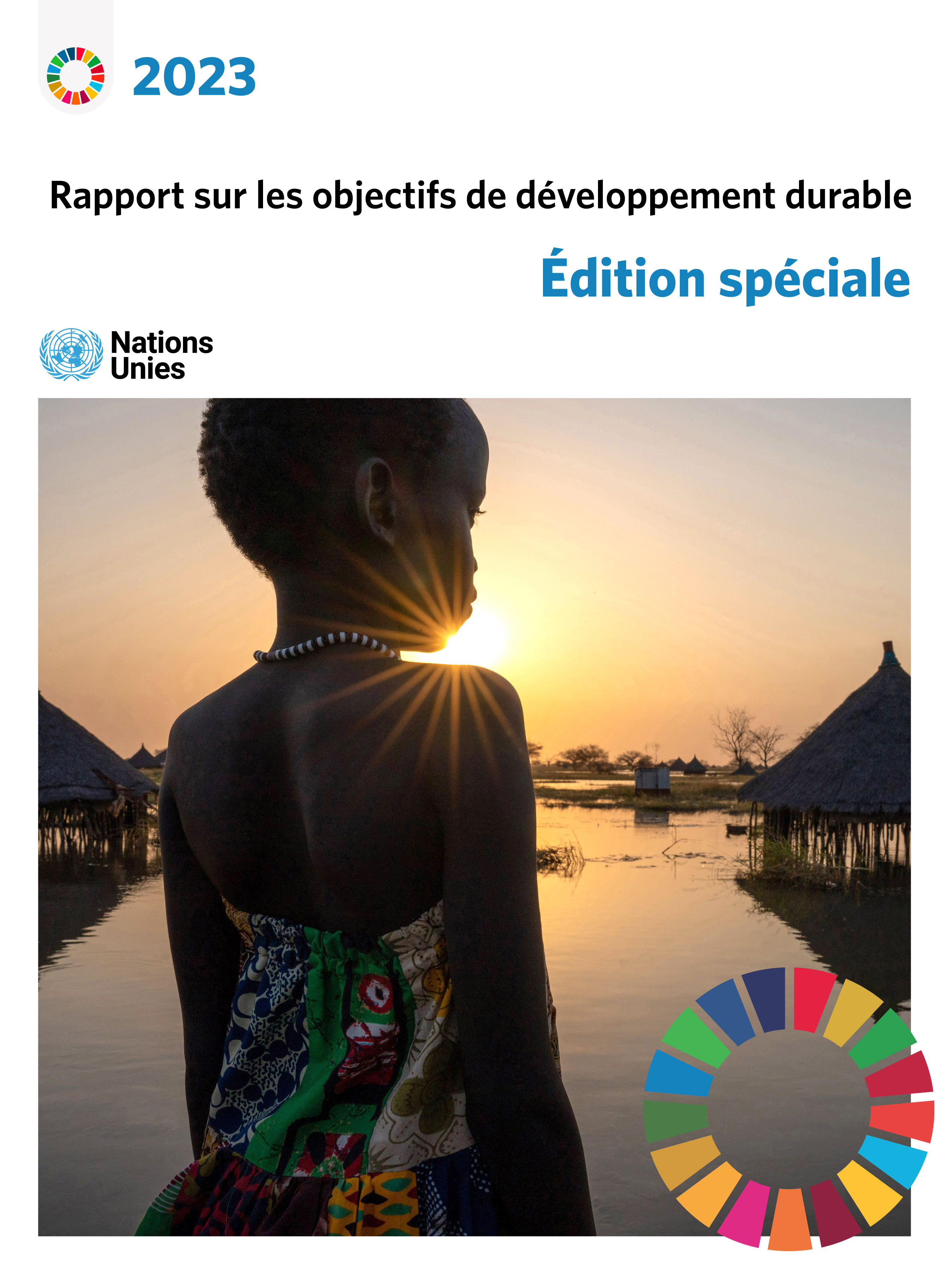 image of Rapport sur les objectifs de développement durable 2023: Édition spéciale