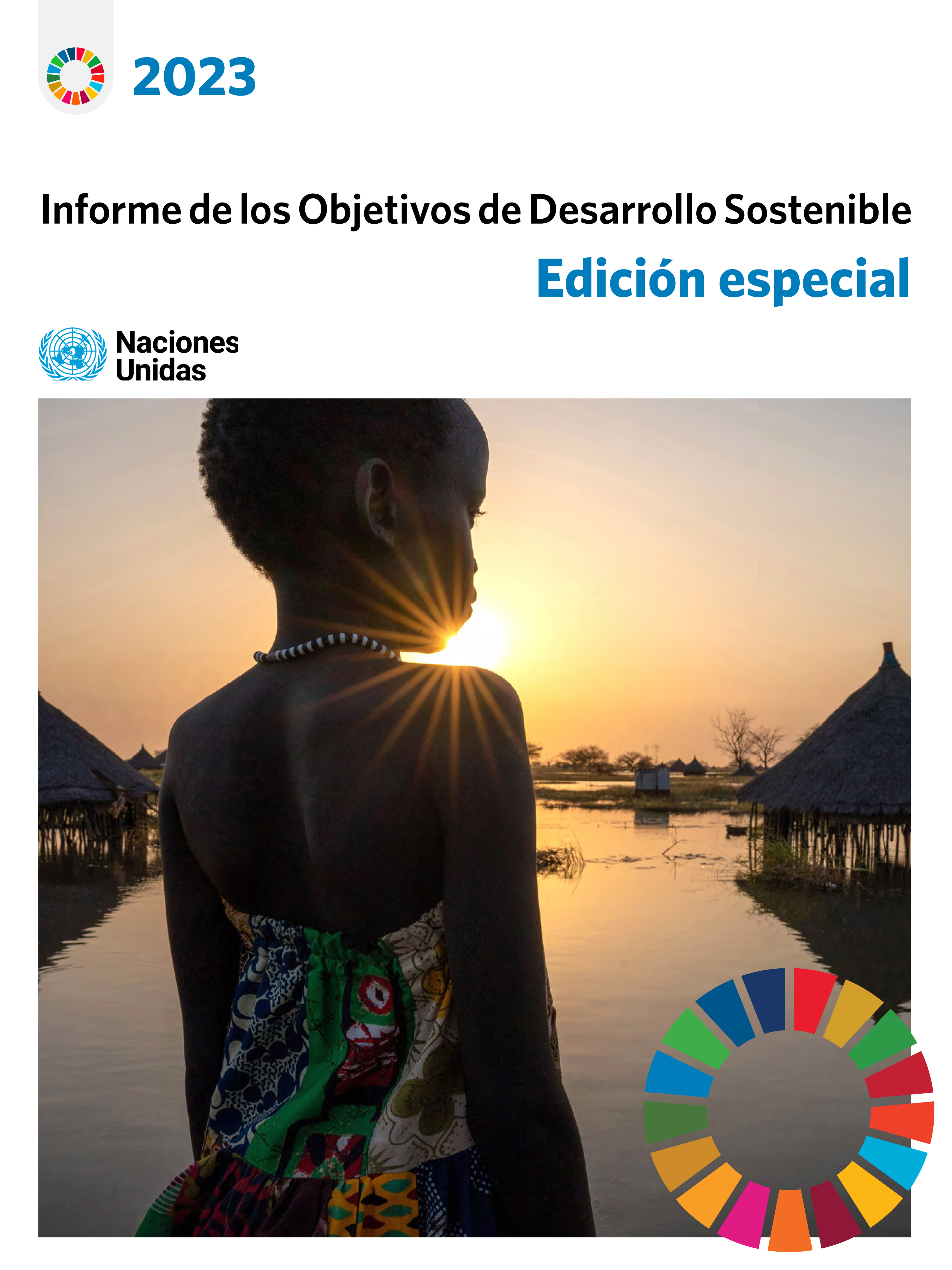 image of Informe de los Objetivos de Desarrollo Sostenible 2023: Edición especial